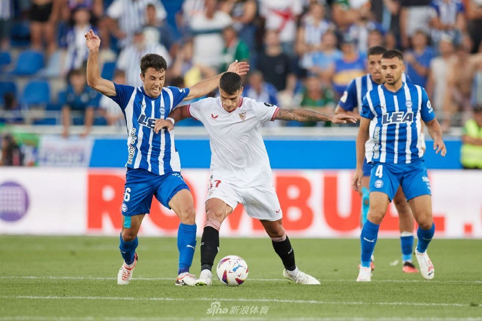 成为培养年 成为培养年